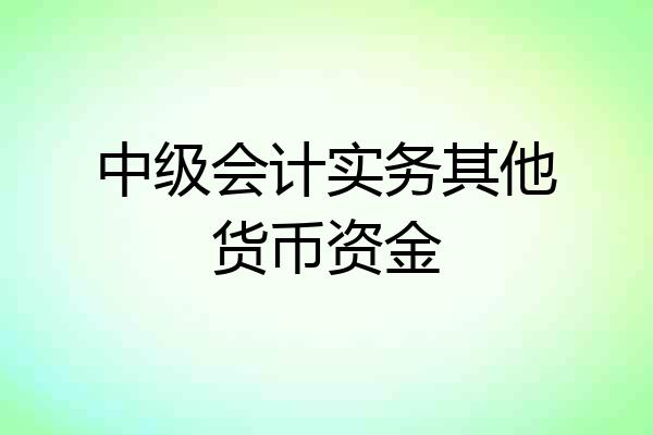 中级会计实务其他货币资金