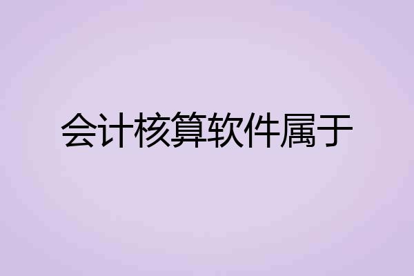 会计核算软件属于