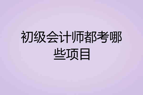 初级会计师都考哪些项目