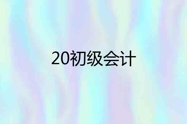 20初级会计