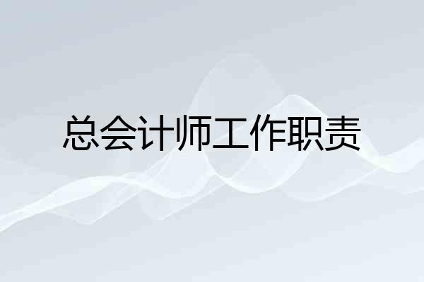 总会计师工作职责