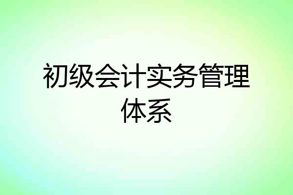 初级会计实务管理体系