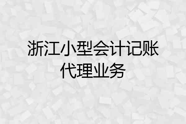 浙江小型会计记账代理业务