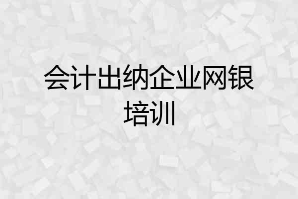 会计出纳企业网银培训