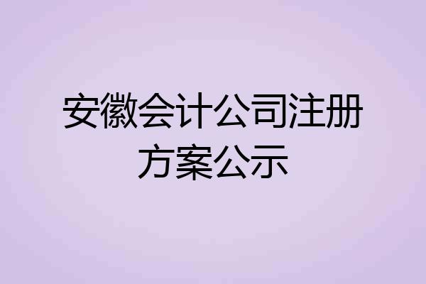 安徽会计公司注册方案公示
