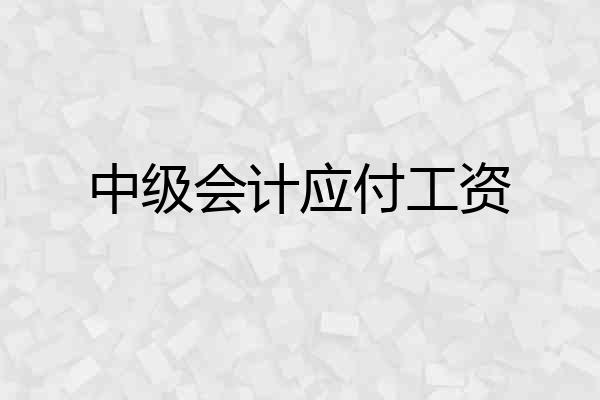 中级会计应付工资