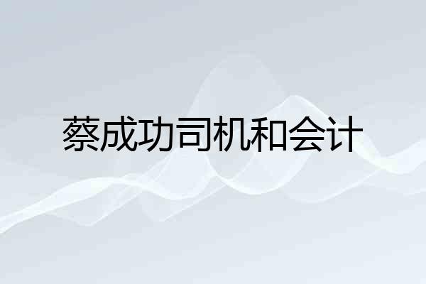 蔡成功司机和会计