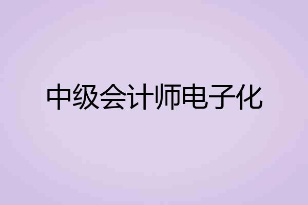 中级会计师电子化