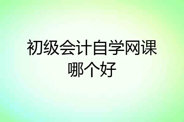 初级会计自学网课哪个好