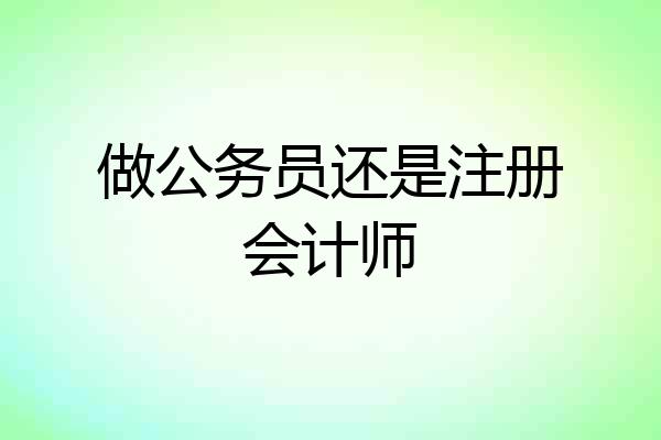 做公务员还是注册会计师
