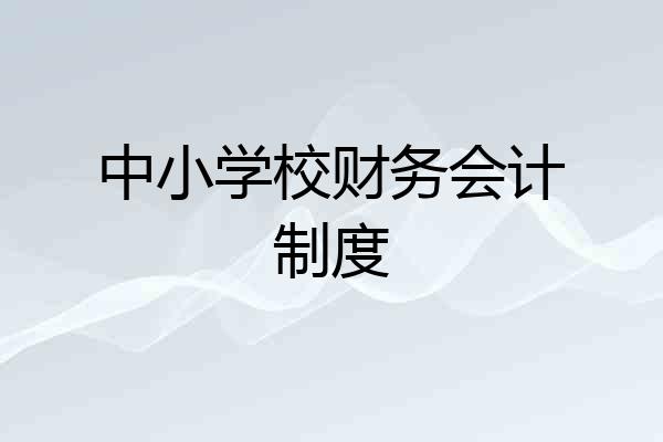 中小学校财务会计制度
