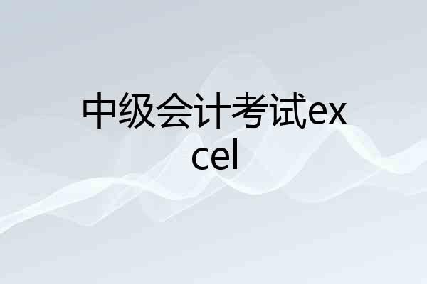 中级会计考试excel