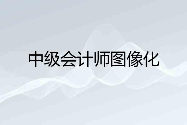 中级会计师图像化