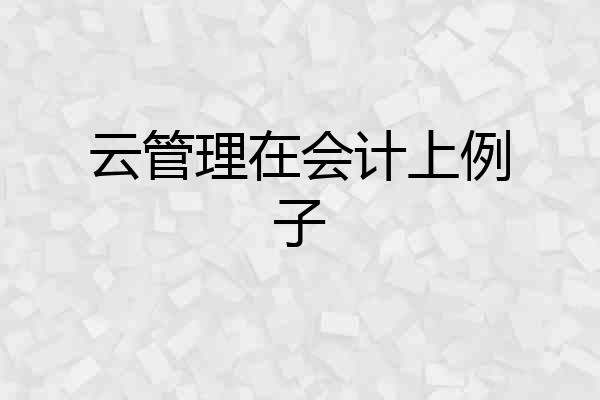 云管理在会计上例子