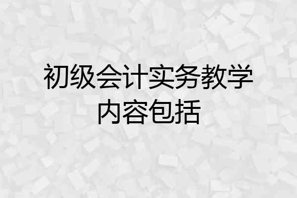 初级会计实务教学内容包括