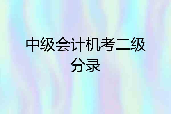 中级会计机考二级分录