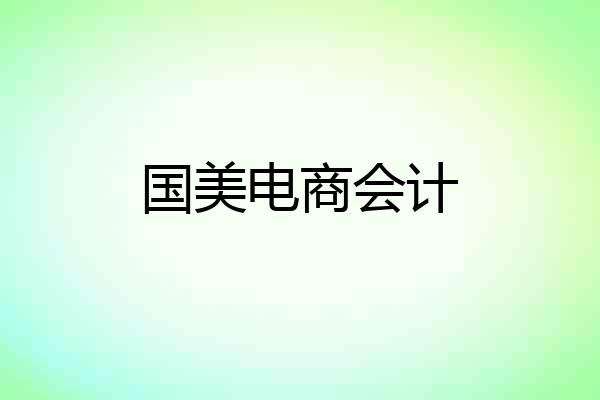 国美电商会计