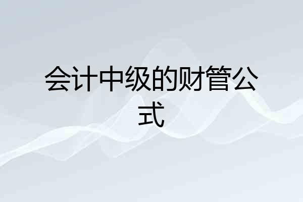 会计中级的财管公式