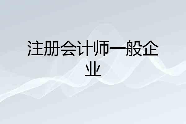 注册会计师一般企业