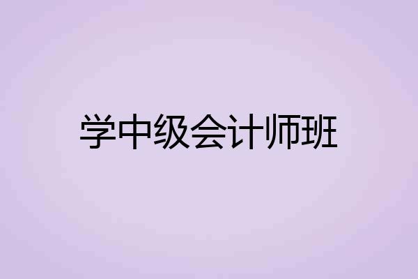 学中级会计师班