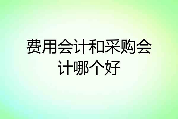 费用会计和采购会计哪个好