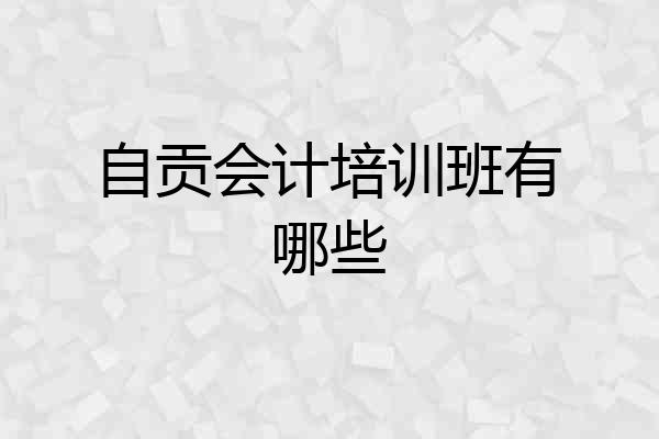 自贡会计培训班有哪些