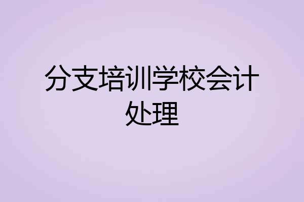分支培训学校会计处理