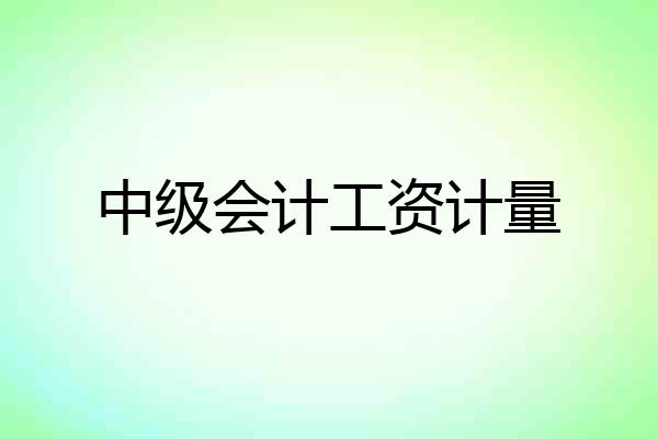 中级会计工资计量