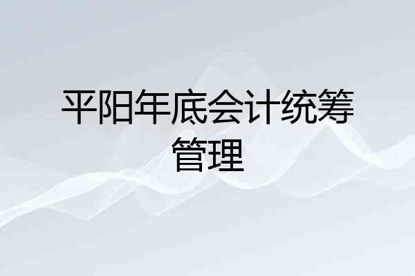 平阳年底会计统筹管理