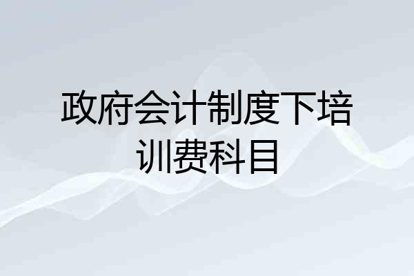 政府会计制度下培训费科目