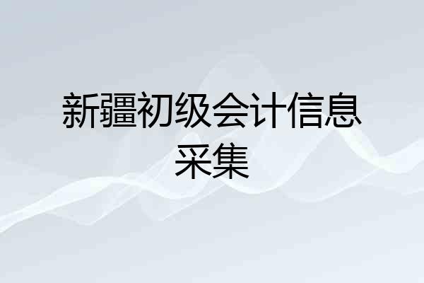 新疆初级会计信息采集