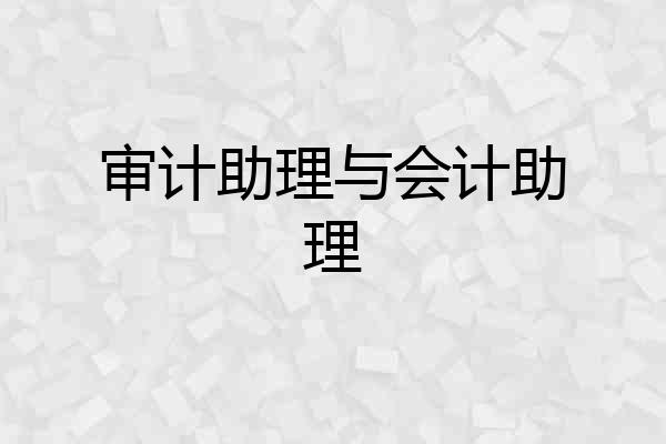 审计助理与会计助理