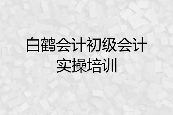 白鹤会计初级会计实操培训
