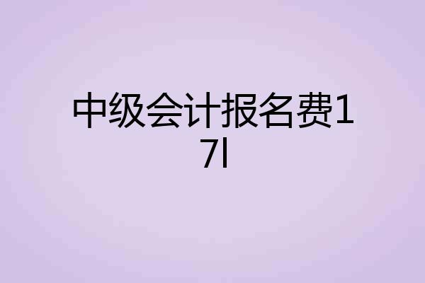 中级会计报名费17l