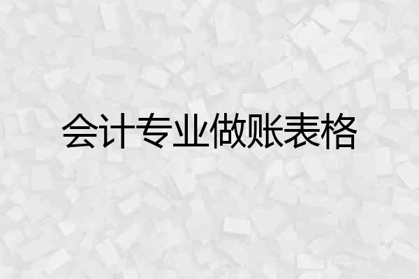 会计专业做账表格
