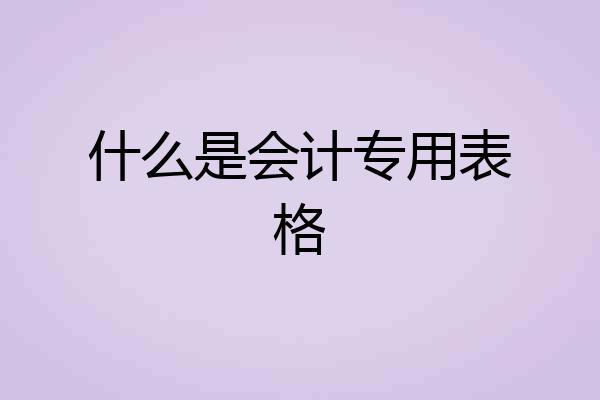 什么是会计专用表格