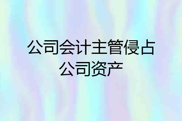 公司会计主管侵占公司资产
