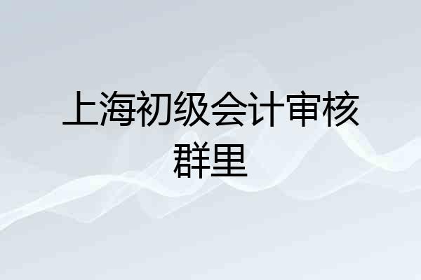 上海初级会计审核群里