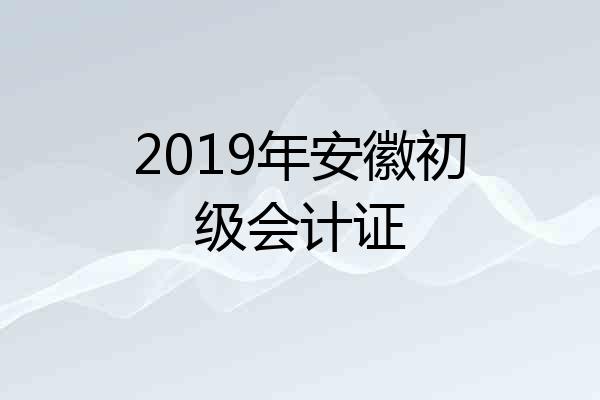 2019年安徽初级会计证
