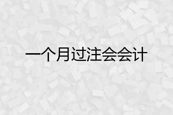 一个月过注会会计