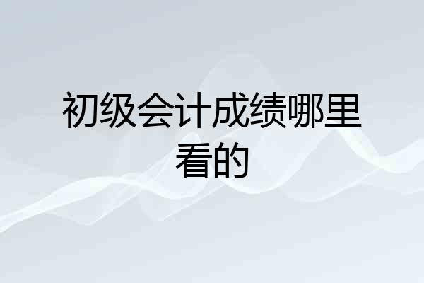 初级会计成绩哪里看的