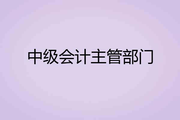 中级会计主管部门