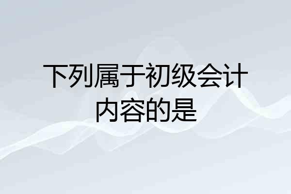 下列属于初级会计内容的是