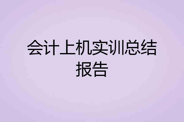 会计上机实训总结报告