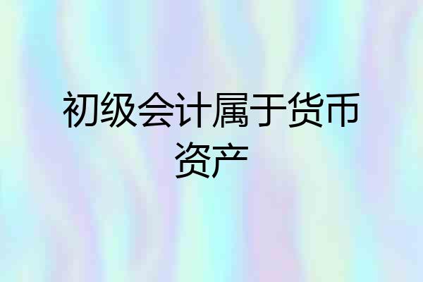 初级会计属于货币资产