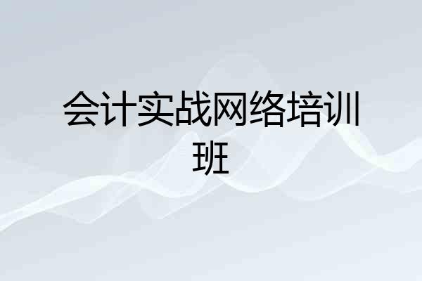 会计实战网络培训班