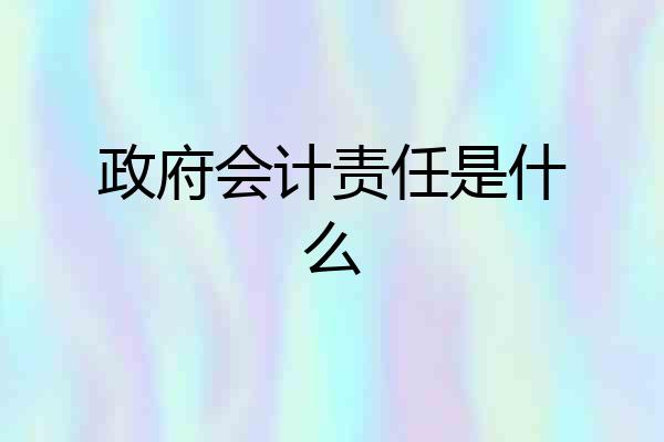 政府会计责任是什么