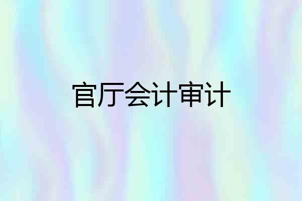 官厅会计审计
