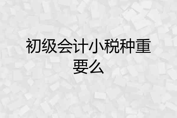 初级会计小税种重要么