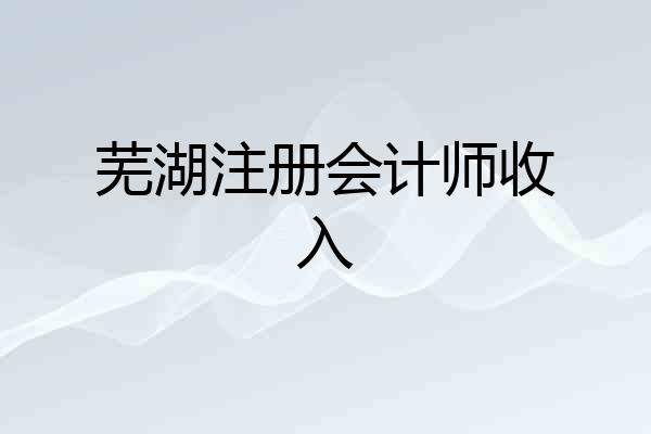 芜湖注册会计师收入